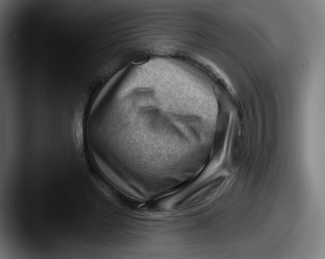 X0000087590493200705181222