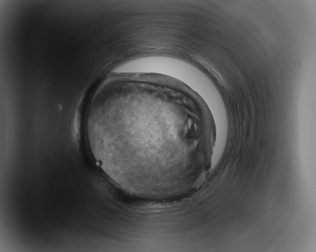 X0000087590494200705181222