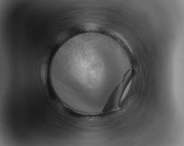 X0000087590495200705181222