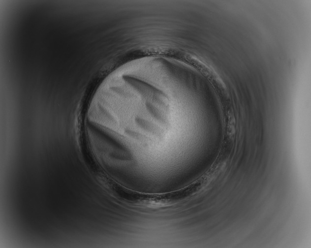 X0000087590498200705181221