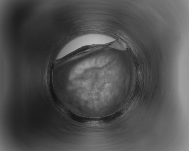 X0000087590499200705181221