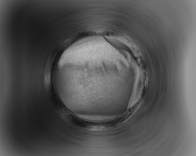 X0000087590500200705181221