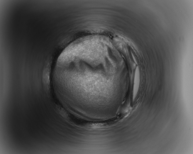 X0000087590501200705181221