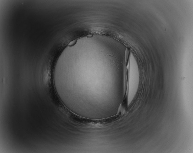 X0000087590502200705181221