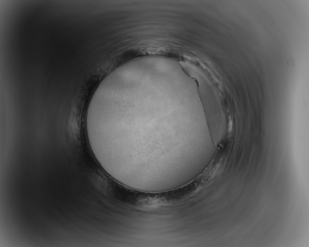 X0000087590503200705181221