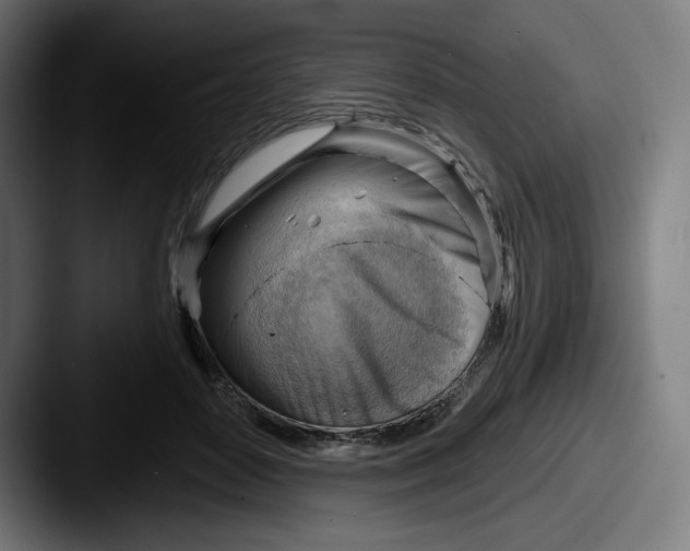 X0000087590504200705181221