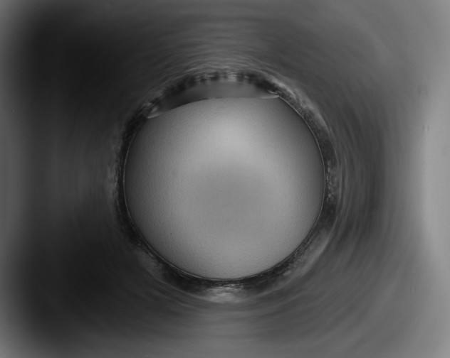 X0000087590505200705181221