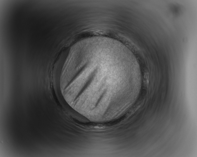 X0000087590506200705181221