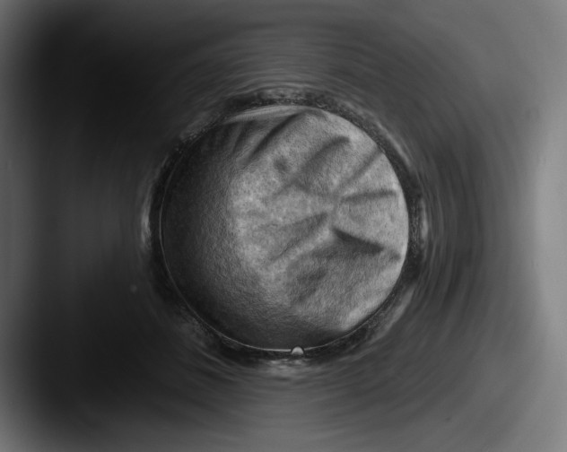 X0000087590508200705181221