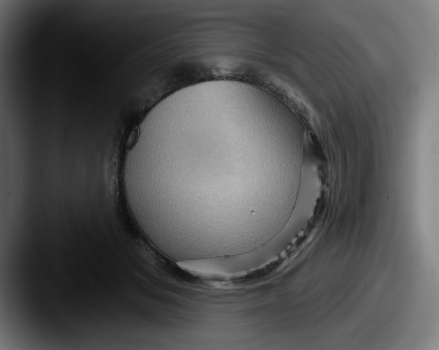 X0000087590509200705181221