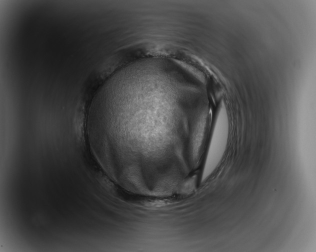 X0000087590513200705181221