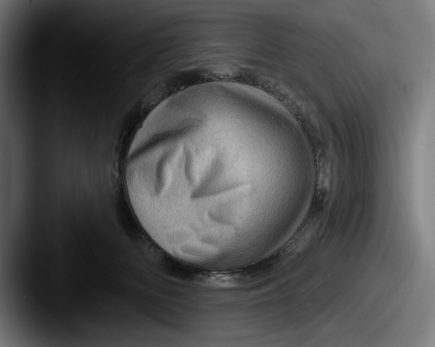 X0000087590518200705181221