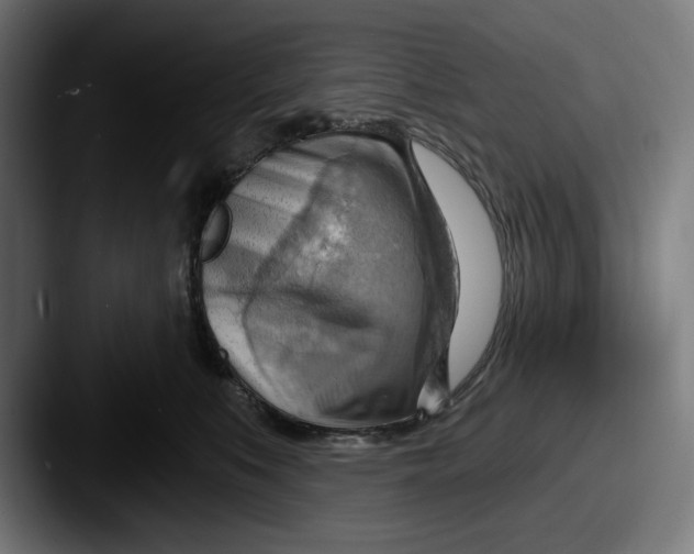 X0000087590519200705181221