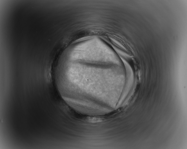 X0000087590520200705181221