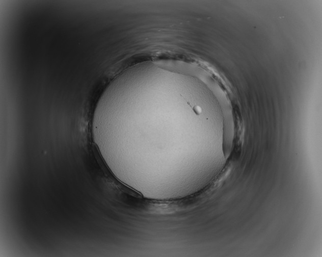 X0000087590521200705181221