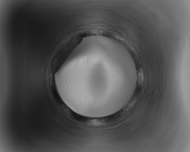 X0000087590522200705181221