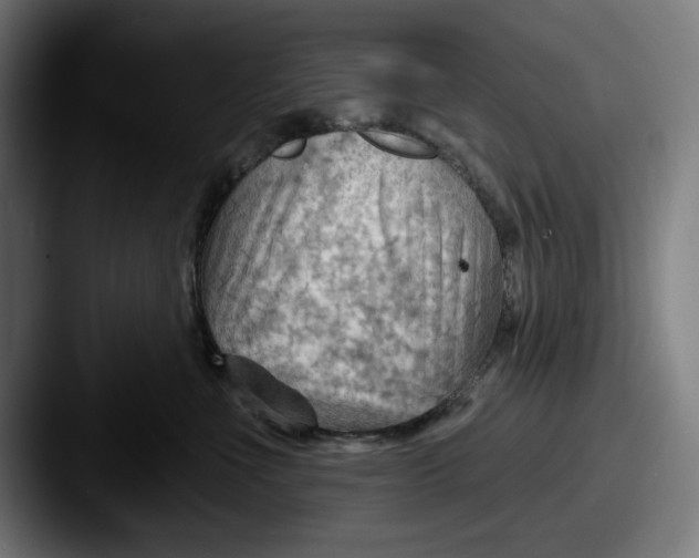 X0000087590523200705181221