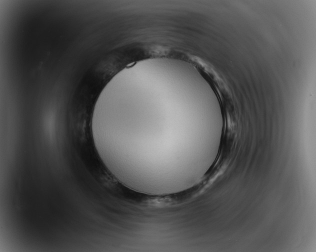 X0000087590525200705181221