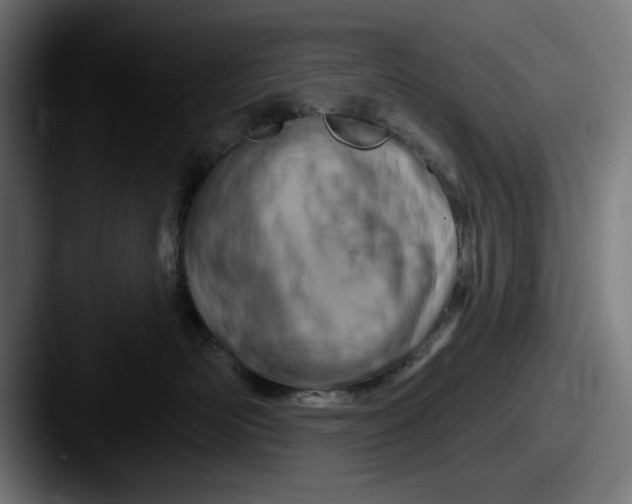 X0000087590526200705181221