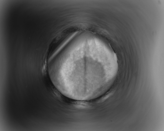 X0000087590528200705181221