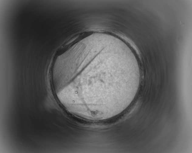 X0000087590529200705181221