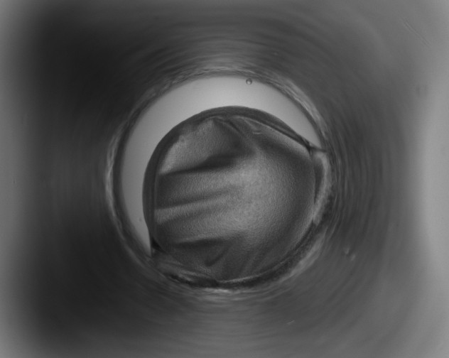 X0000087590530200705181221