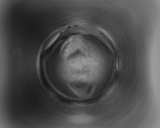 X0000087590531200705181221