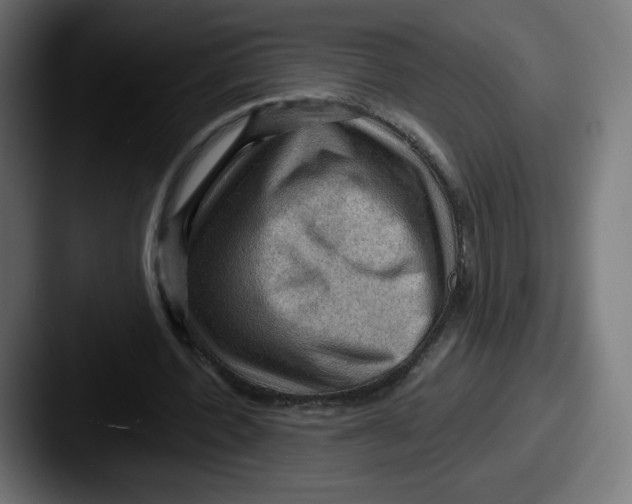 X0000087590532200705181221