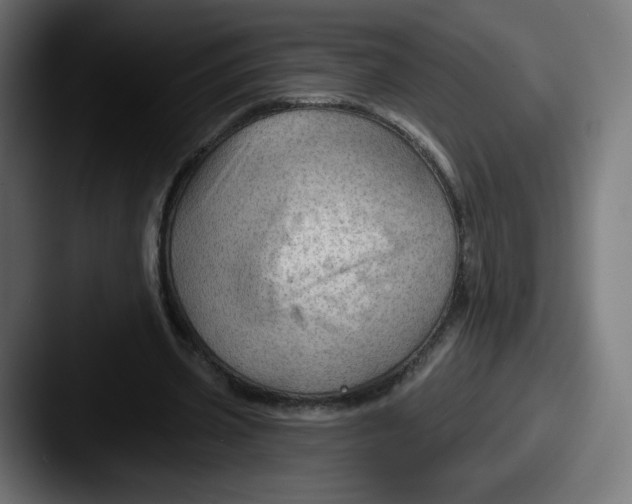 X0000087590533200705181221