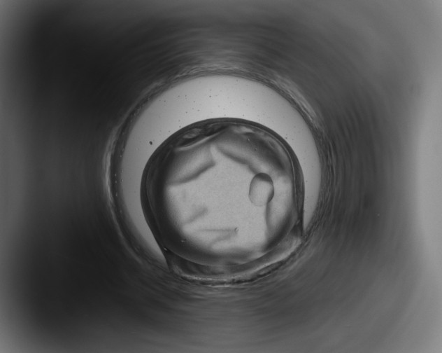 X0000087590534200705181221