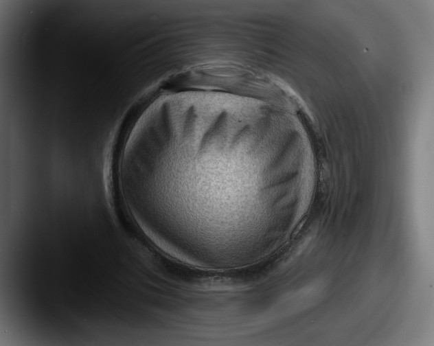 X0000087590535200705181221