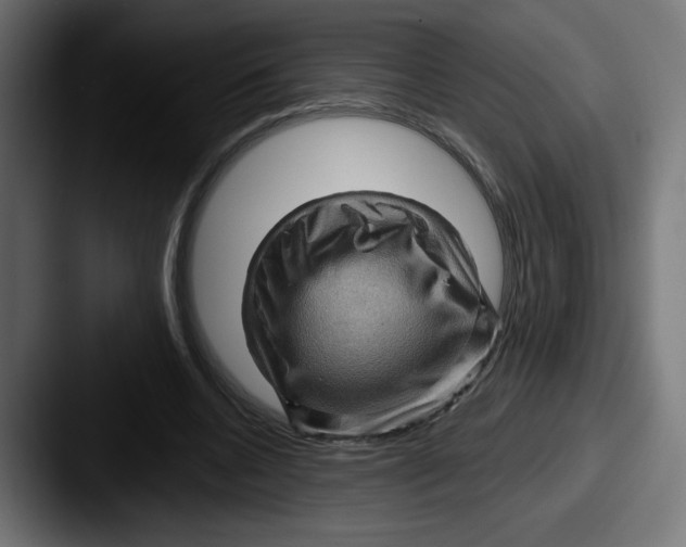 X0000087590536200705181221