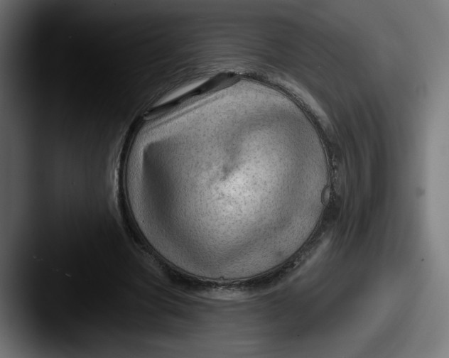 X0000087590537200705181221