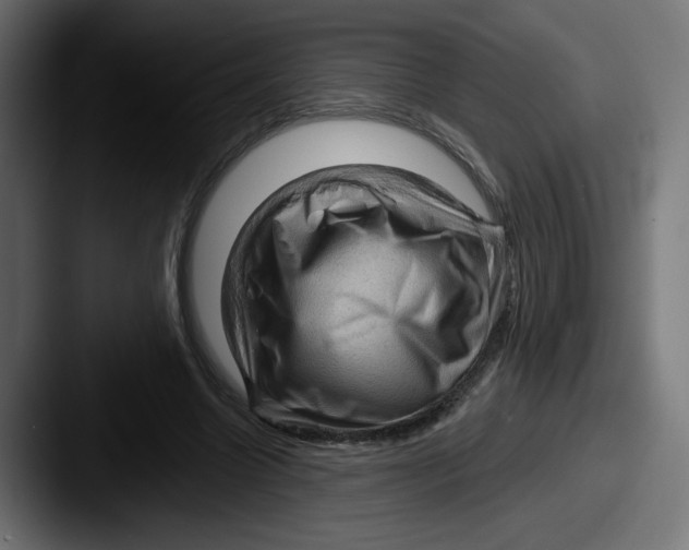 X0000087590538200705181221