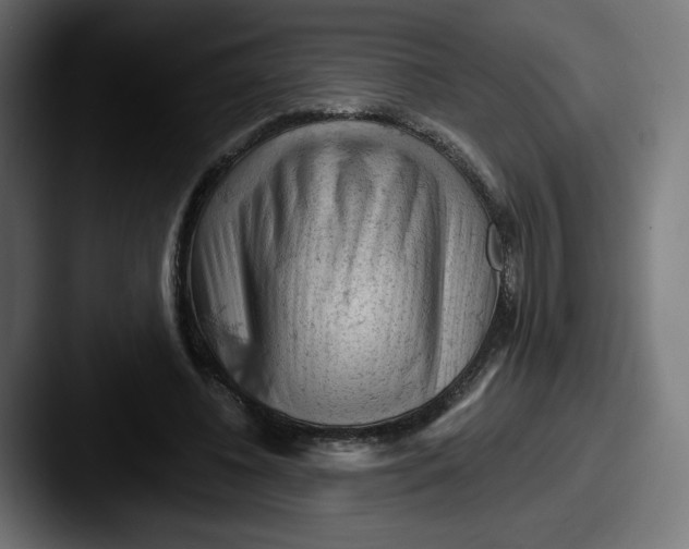 X0000087590540200705181221