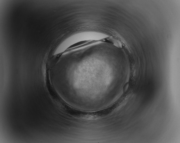 X0000087590542200705181221