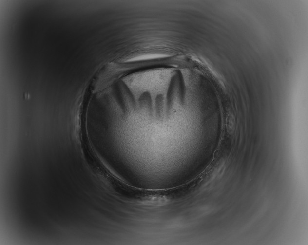 X0000087590543200705181221