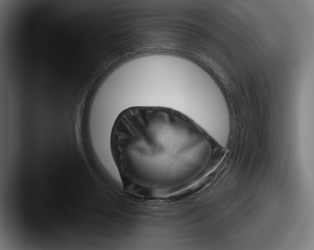 X0000087590544200705181221