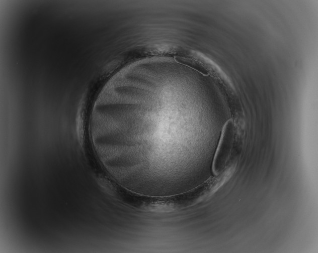 X0000087590546200705181221