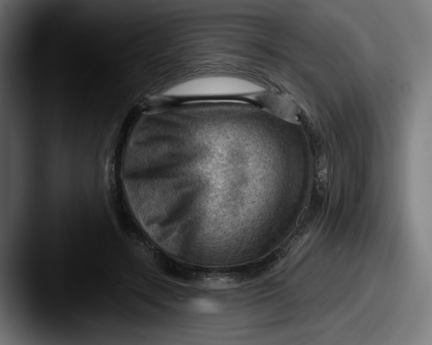 X0000087590547200705181221