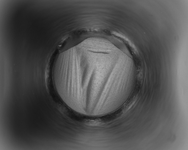 X0000087590548200705181221