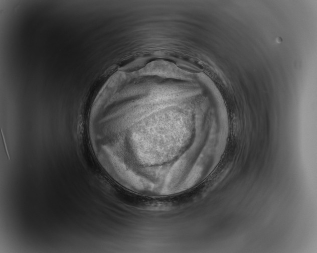 X0000087590549200705181221