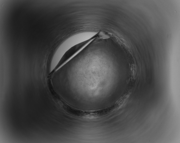 X0000087590550200705181221