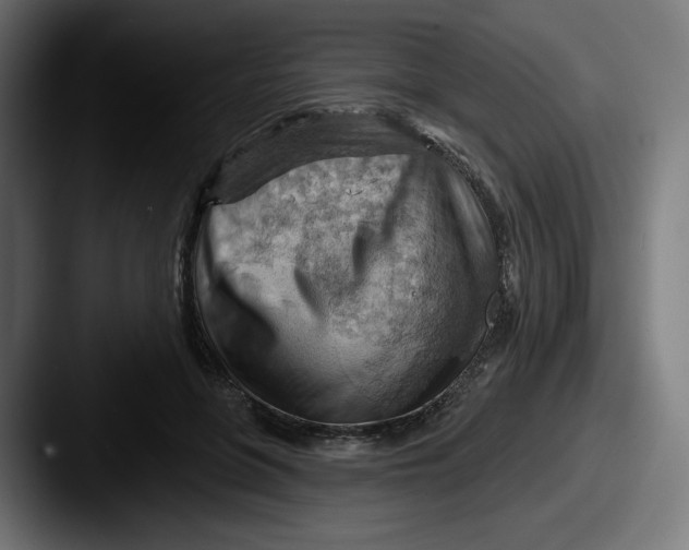 X0000087590551200705181221