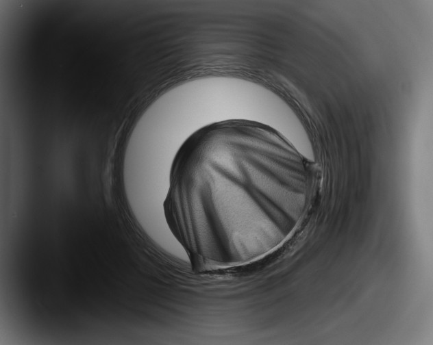 X0000087590552200705181221