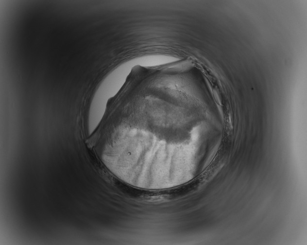 X0000087590553200705181221