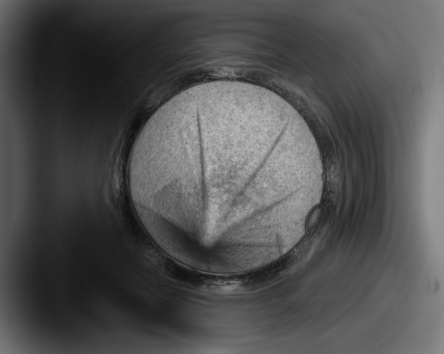 X0000087590554200705181221