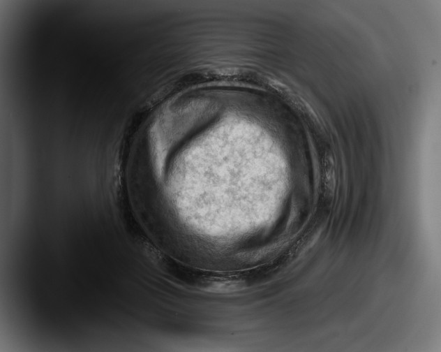 X0000087590555200705181221