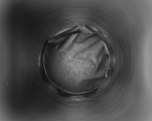 X0000087590556200705181221