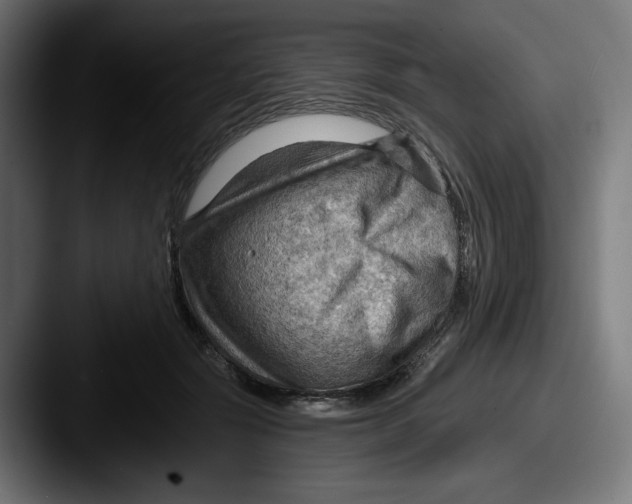 X0000087590557200705181221